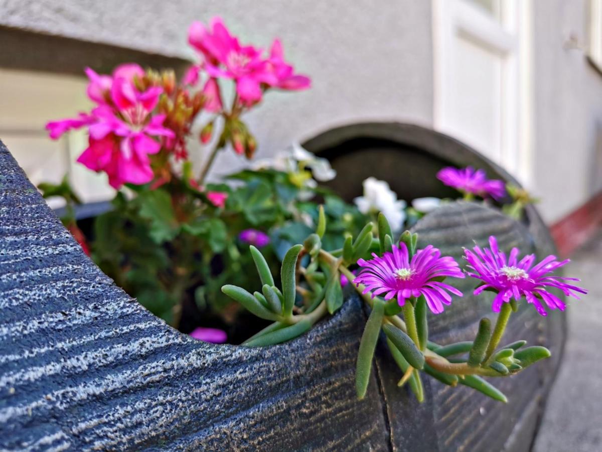 Apartment Slavonska Kuca Pleternica Bagian luar foto